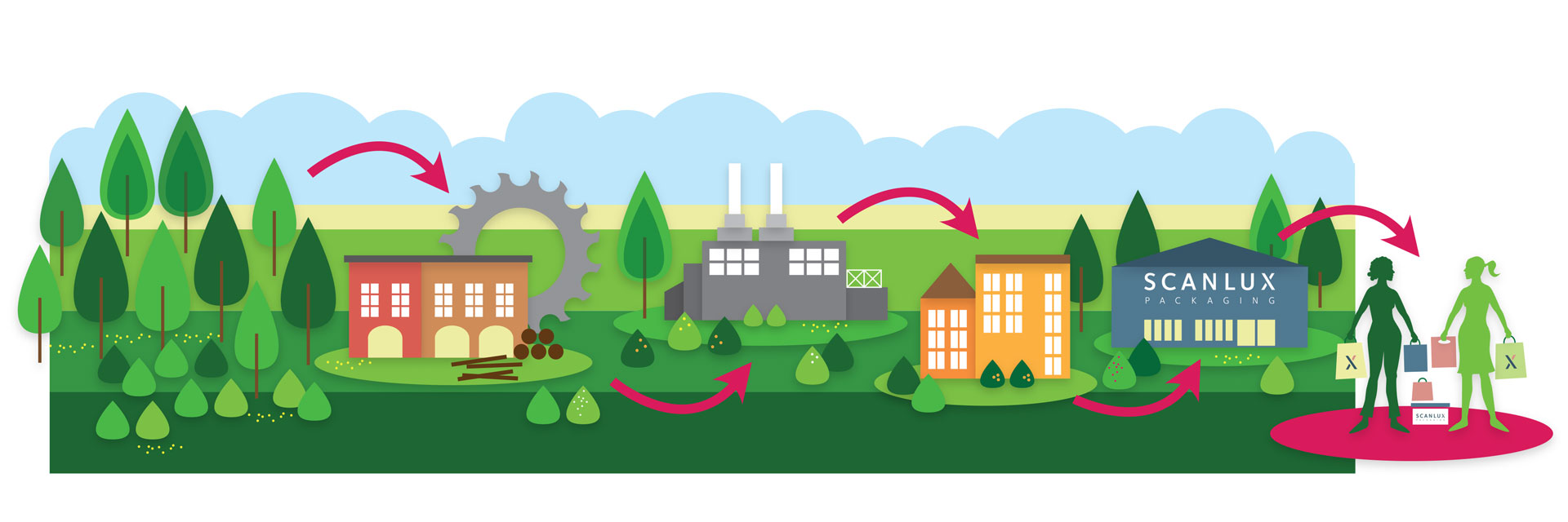 FSC-infografik_1920x640px
