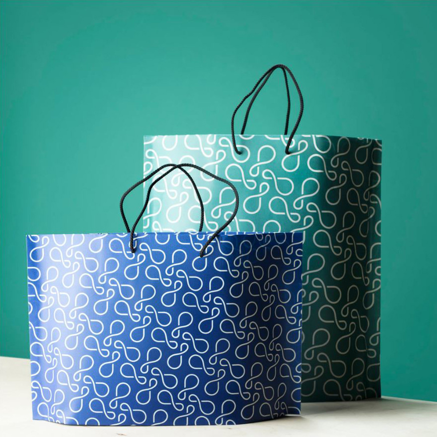 Paptic bags with handle – Scanlux Packaging